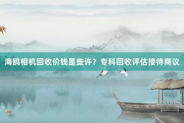 海鸥相机回收价钱是些许？专科回收评估接待商议